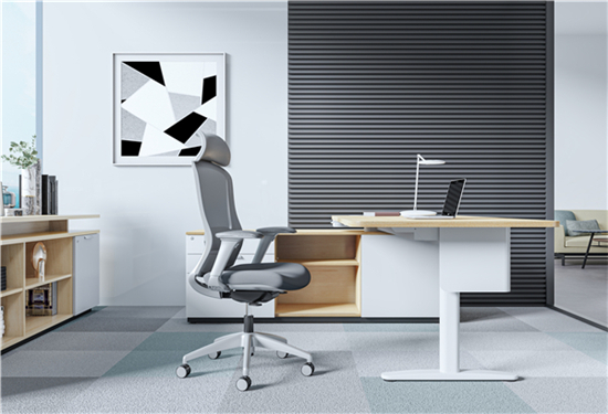 6 - Liquid with Headrest and Envolve Height-adjustable Desk (HAD)