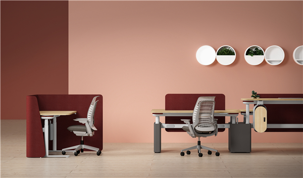 13 - Duplex and Mimeo